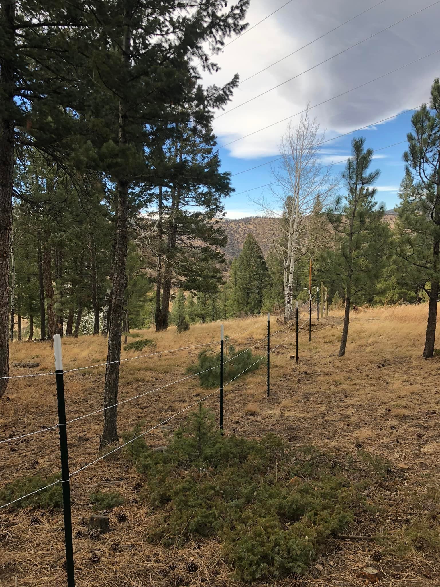 Barbless cable fence project